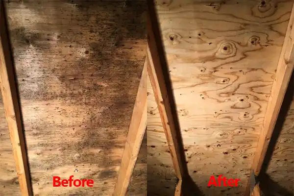 water damage restoration service Charlotte Hall